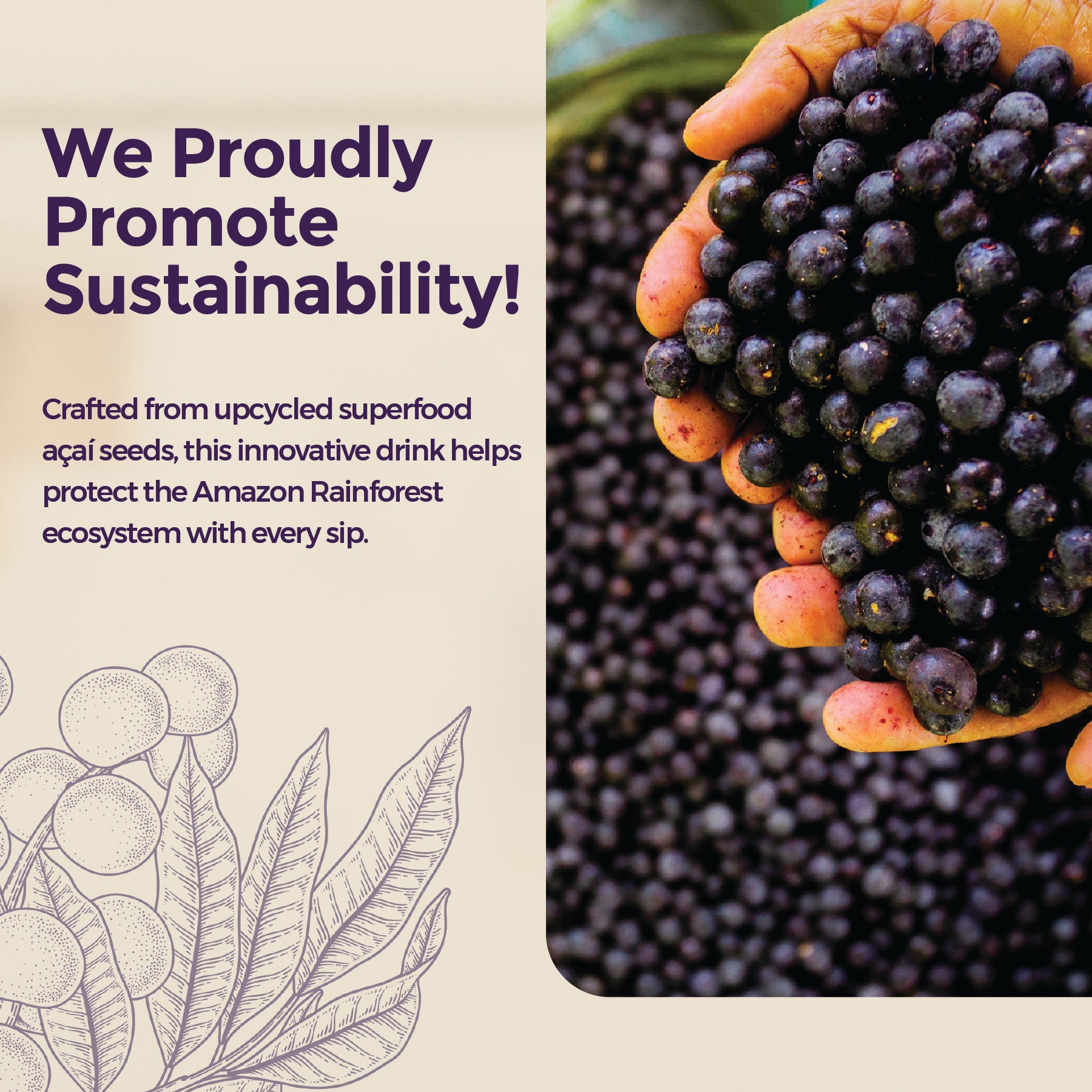 Açaí Coffee Alternative