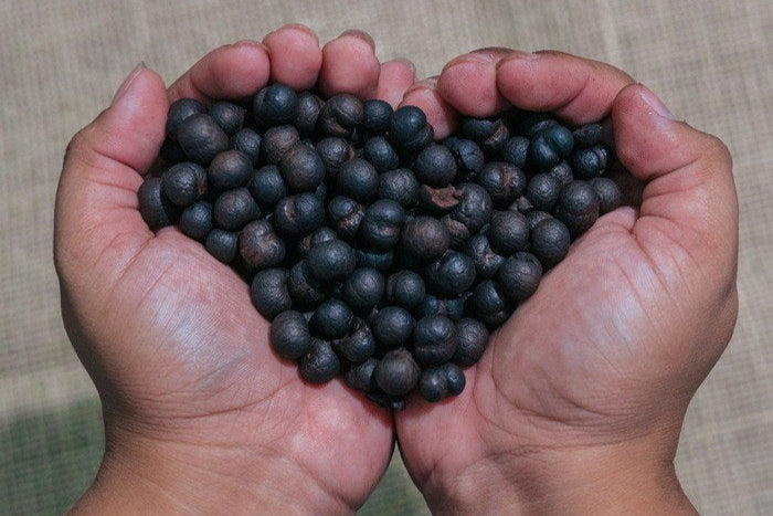 Açaí Coffee Alternative
