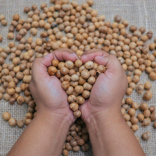 Açaí Secrets: What Happens to the Seed After the Pulp is Extracted?