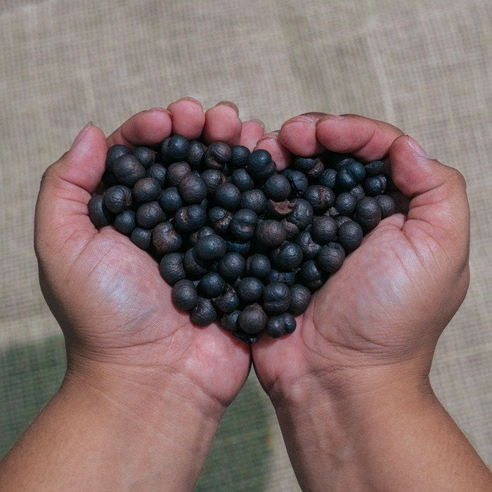 Açaí Coffee: Pure Taste, Zero Waste, Healthy Choice