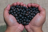 Açaí Coffee Alternative